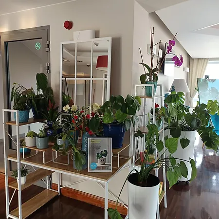 Bed & Breakfast Ach Mazury Mikołajki