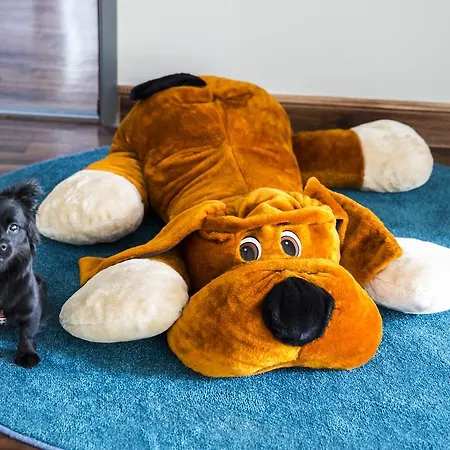 Bed & Breakfast Ach Mazury Mikołajki