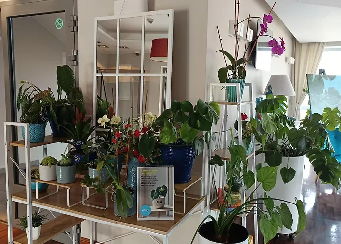 Bed & Breakfast Ach Mazury Mikołajki