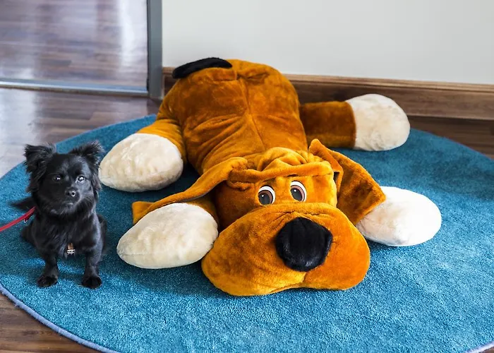 Bed & Breakfast Ach Mazury Mikołajki